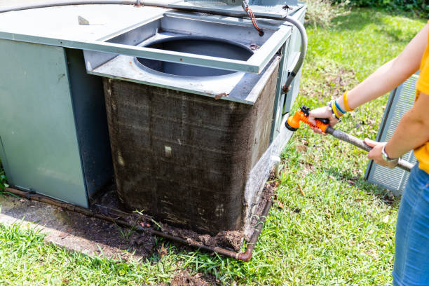 Best Home Air Vent Cleaning  in Cambridge, MN