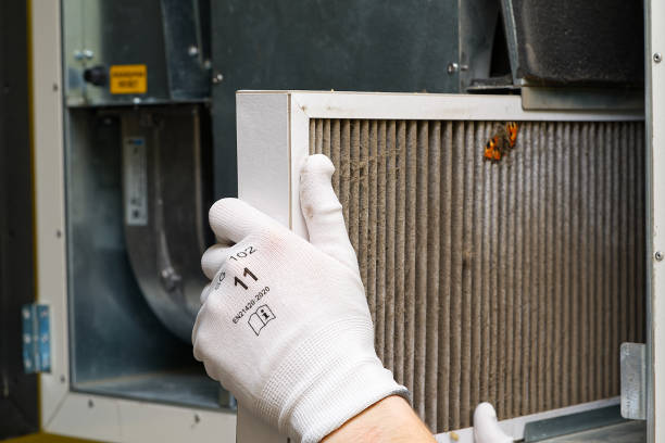 Best Commercial Air Duct Cleaning  in Cambridge, MN