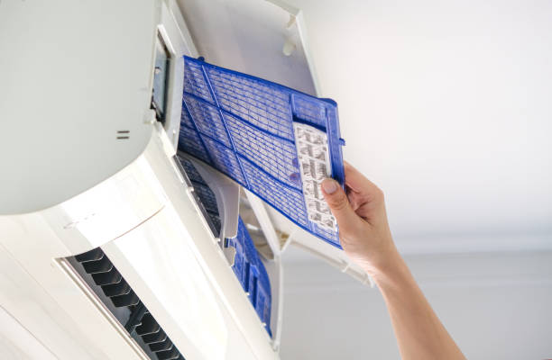 Best Air Duct Cleaning Company Near Me  in Cambridge, MN