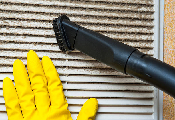 Best HVAC Air Duct Cleaning  in Cambridge, MN