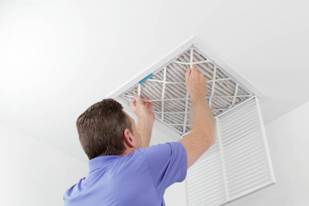 Best Professional Duct Cleaning Services  in Cambridge, MN